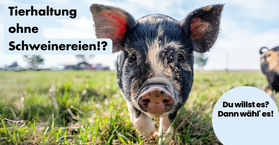 ohnelogo_linkedin_tierhaltung_ohne_schweinereien